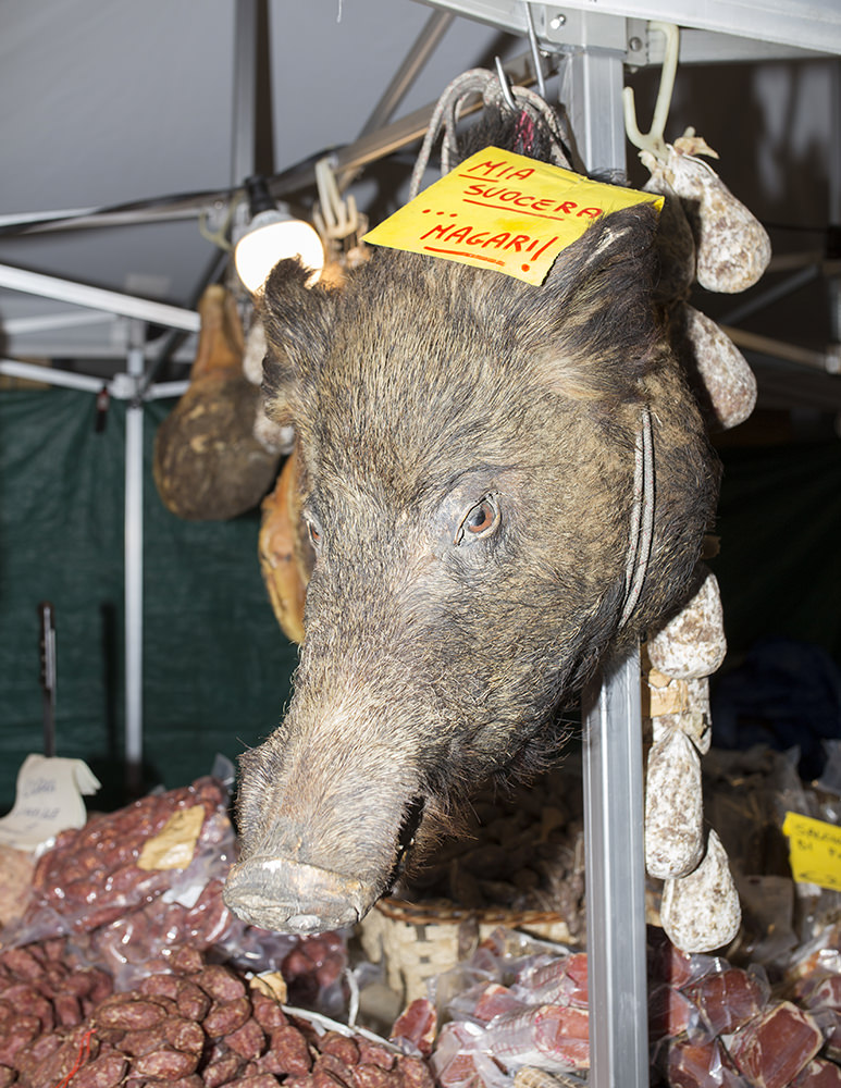 Fiera uno spaccato della società odierna cinghiale